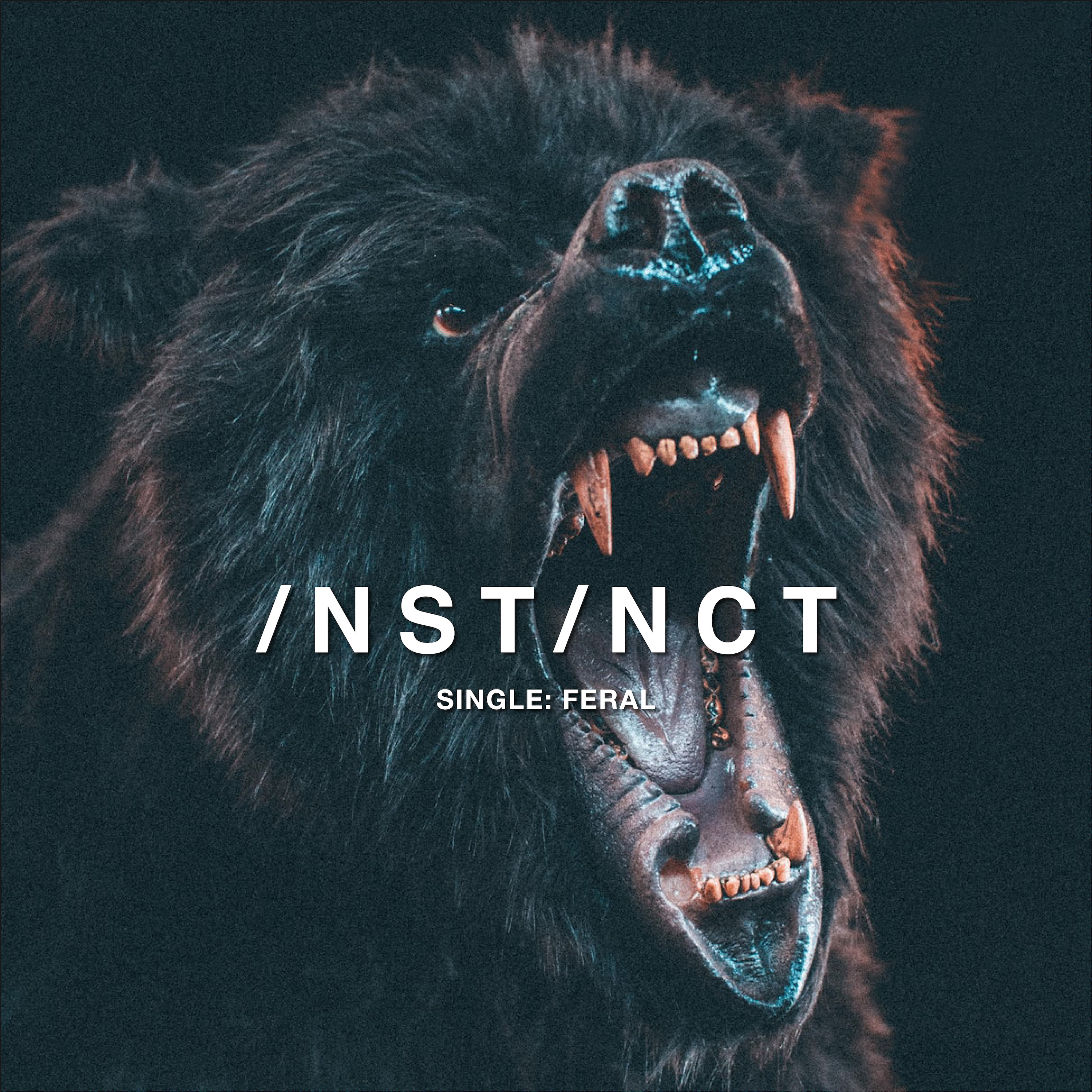 INSTINCT_FINAL ALBUM ART