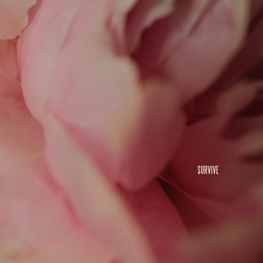 Survive single cover image by Lewis Capaldi recently released